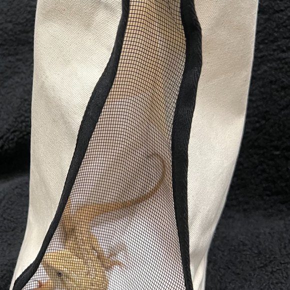 Pet Carrier for your Bearded Dragon - Picture 2 of 2